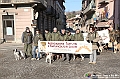 VBS_5501 - XV Raduno Nazionale dei Trifulau e dei Tabui